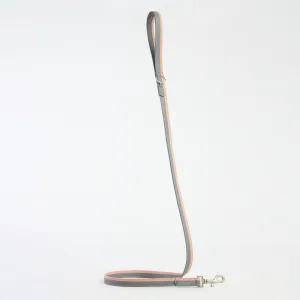 Dual Leash - Powder & Grey, M